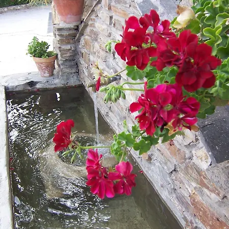 Mit Zwei Schlafzimmern In La Alpujarra Holiday home